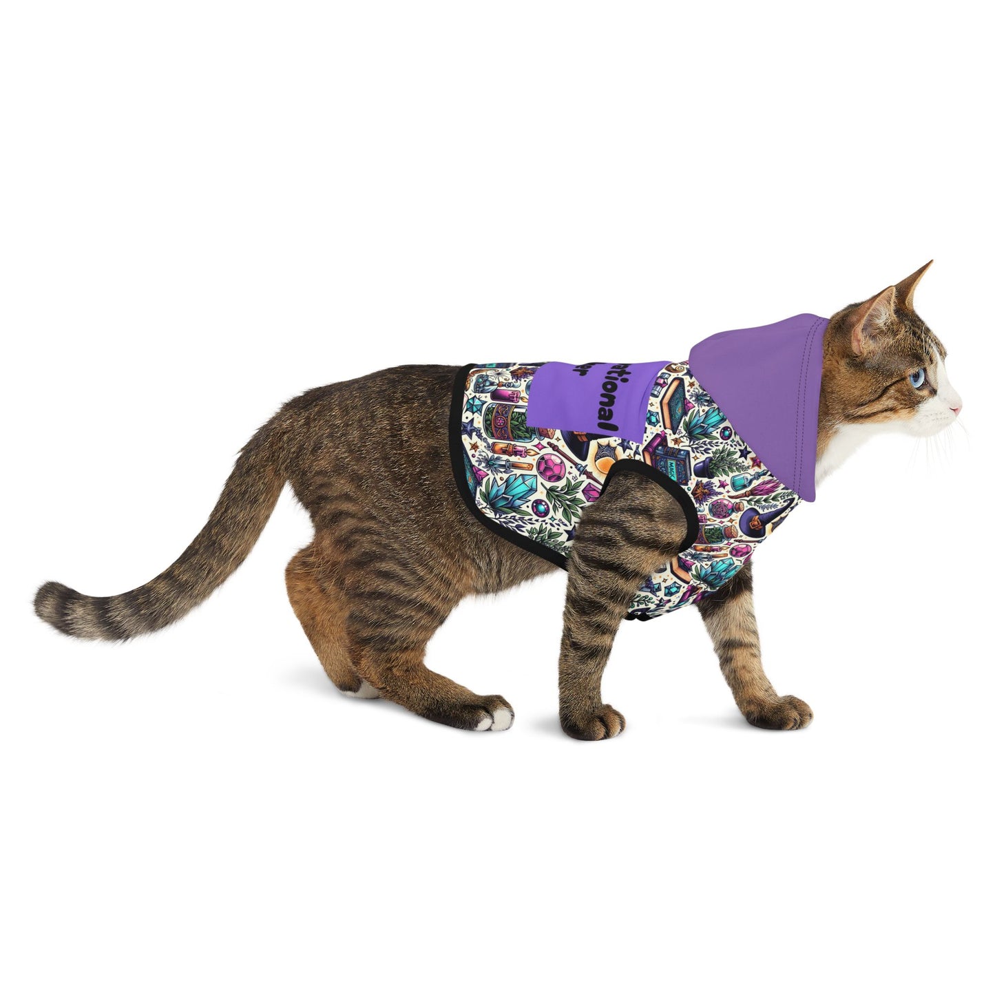 Cat Hoodie - Meow-tivational Speaker Design
