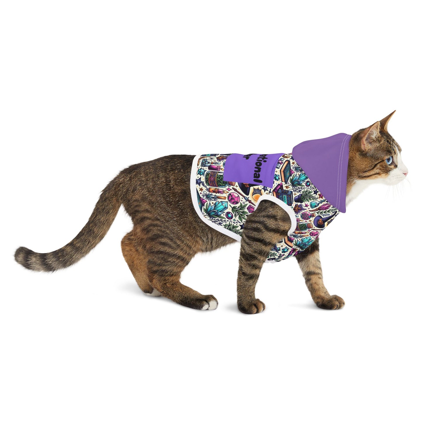 Cat Hoodie - Meow-tivational Speaker Design