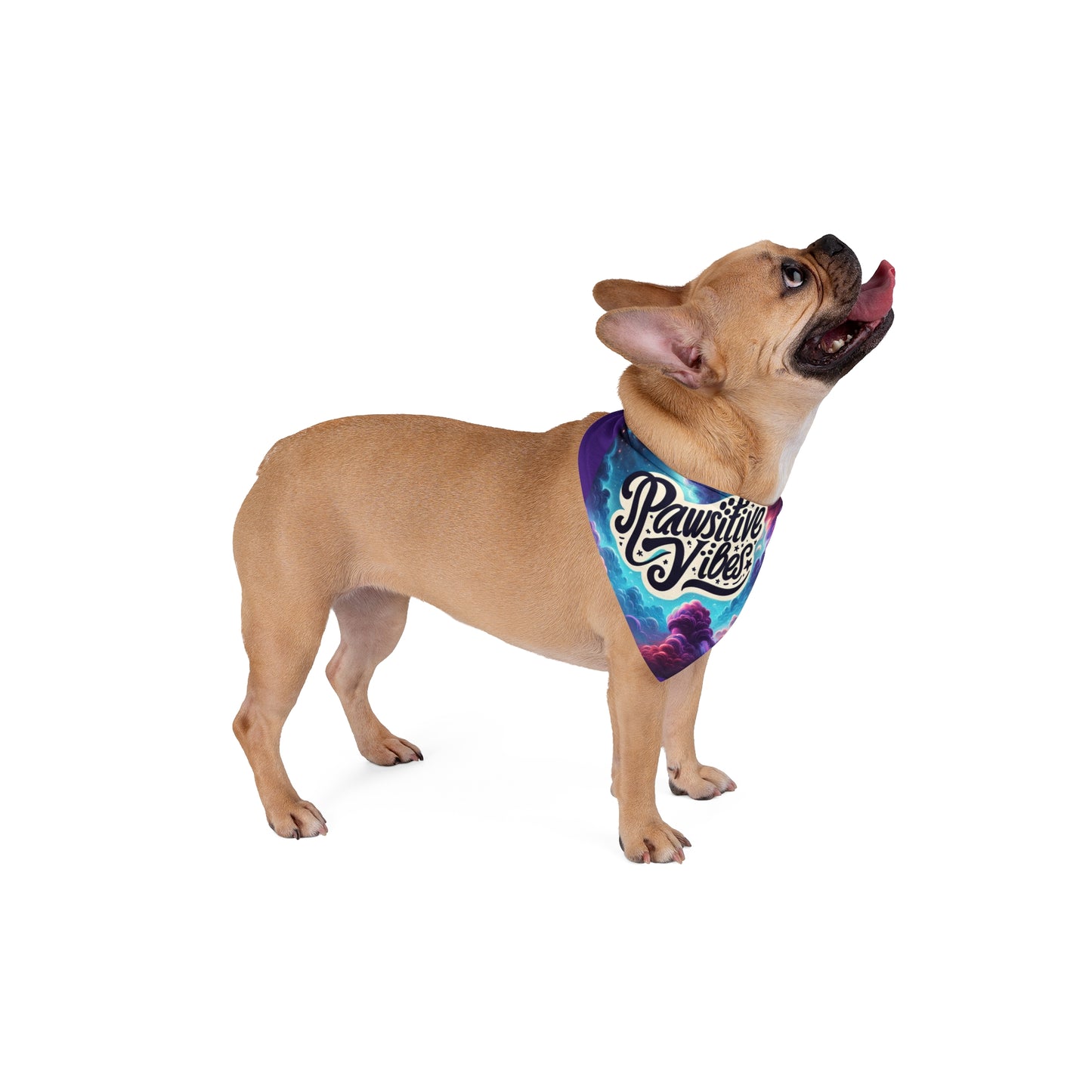 "Pawsitive Vibes" Pet Bandana